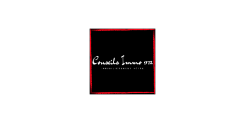Conseils Immo 972